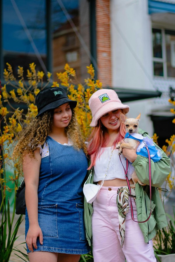 Boutique chiens : accessoires, jouets et soins pour votre compagnon